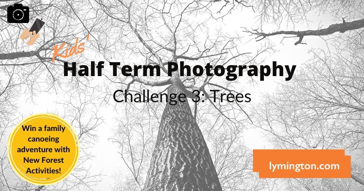 Half Term Photography Challenge 3 for children in the New Forest - trees