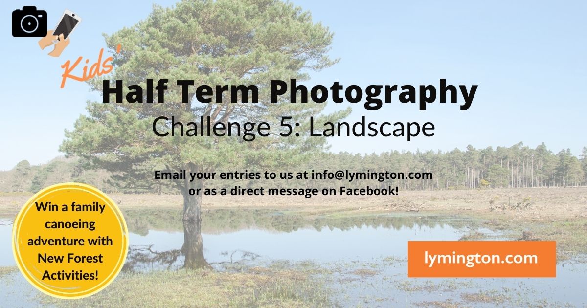 Half Term Photography Challenge 5 for children in the New Forest - landscape