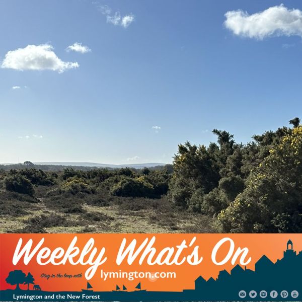 New Forest Lowland Heath