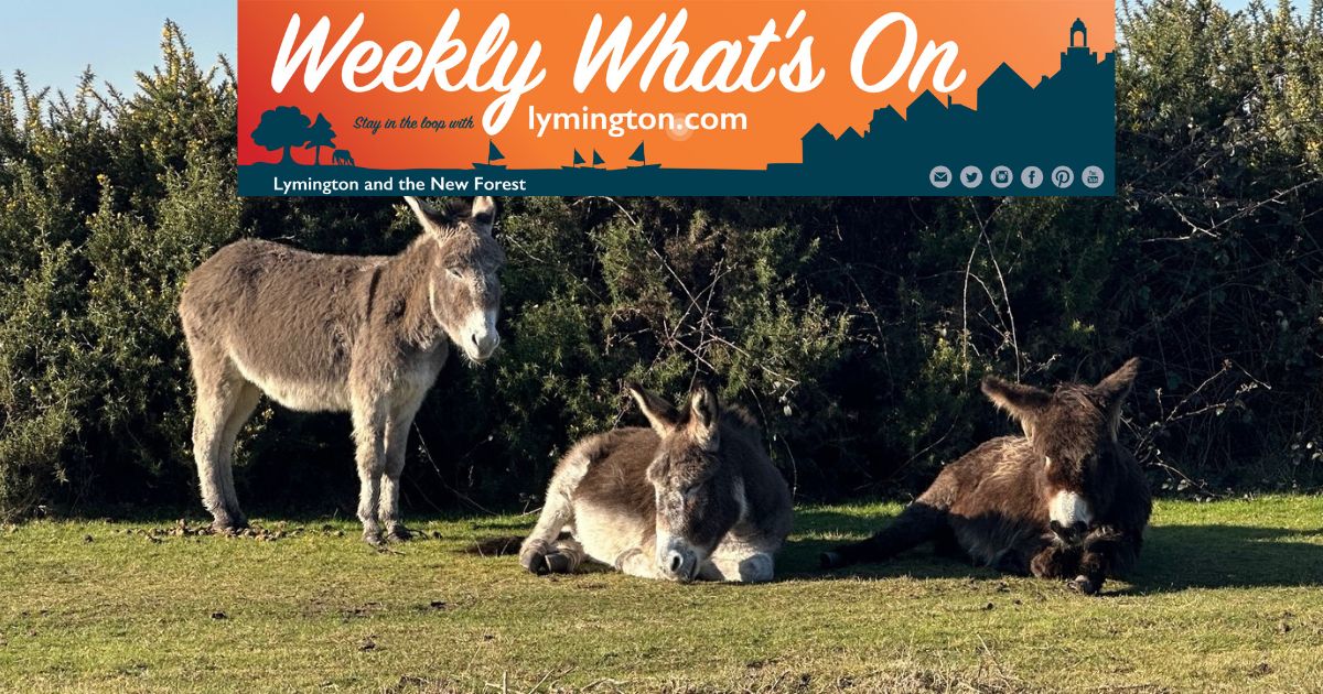 Donkeys dozing in early spring sunshine
