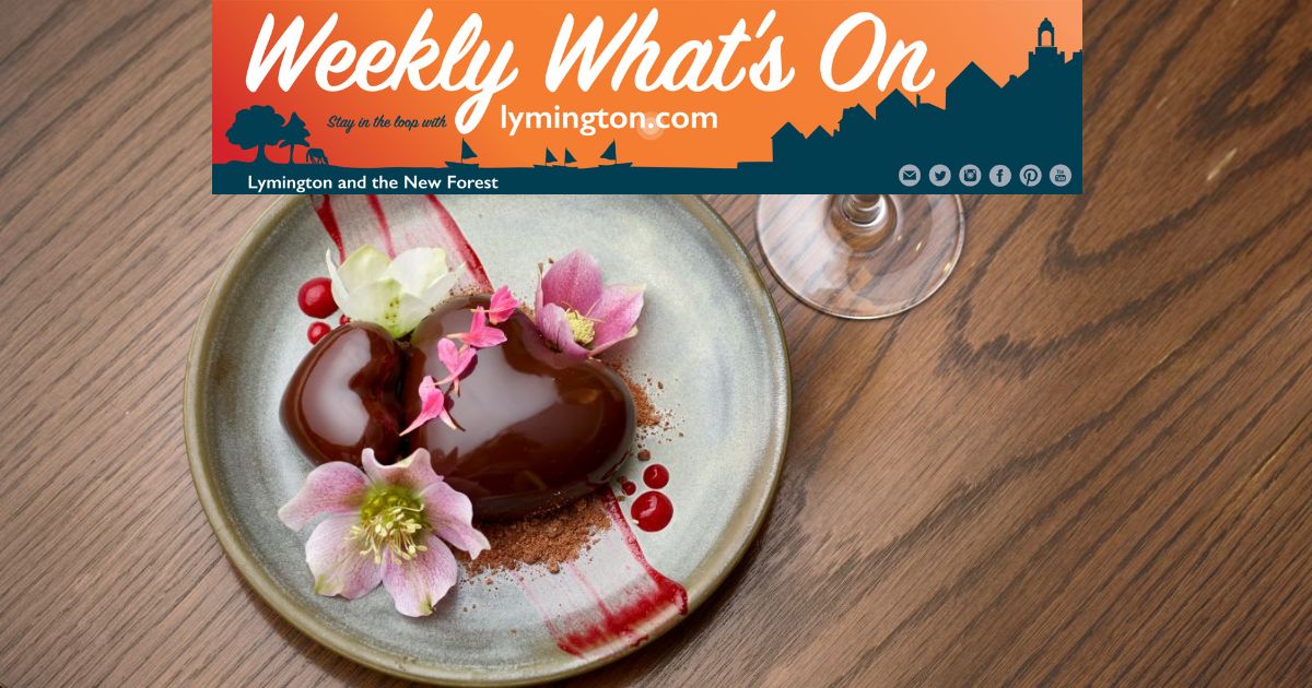 Donkeys dozing in early spring sunshine