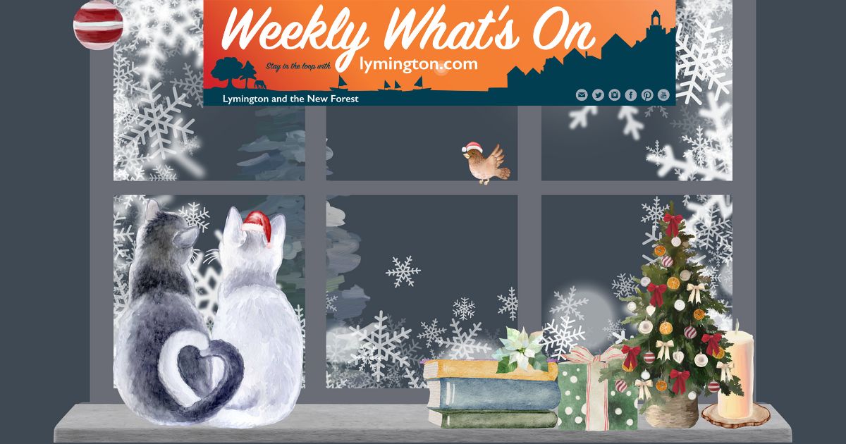 Christmas Window View