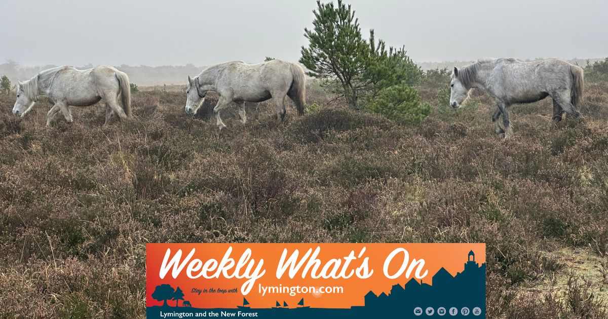 Winter Forest Ponies