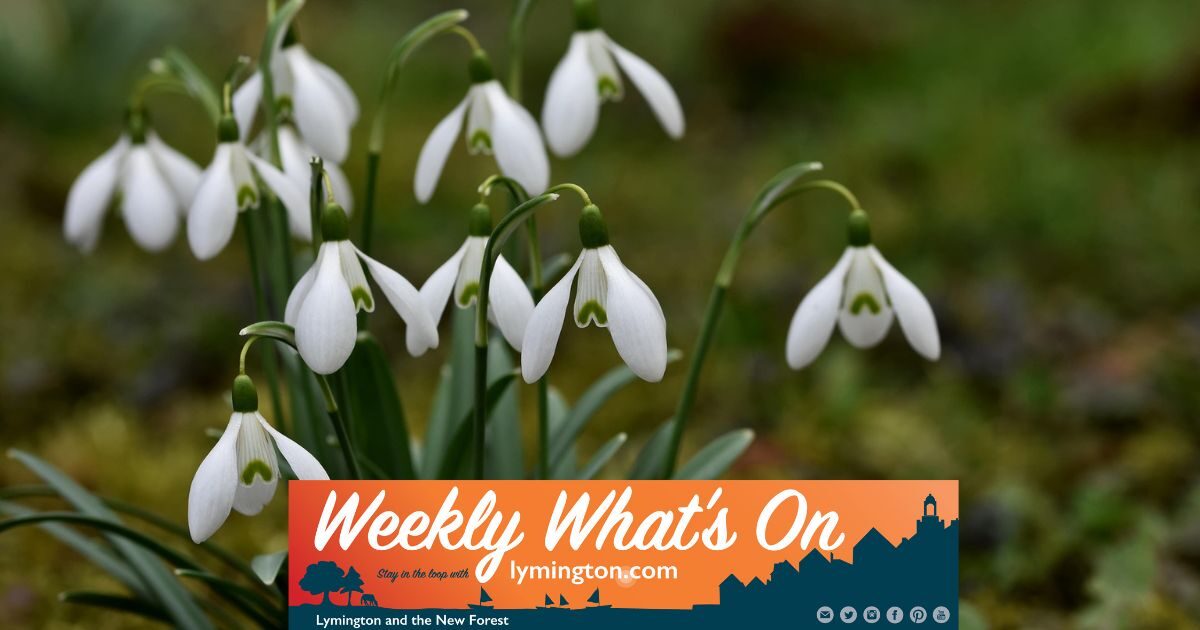 Snowdrops
