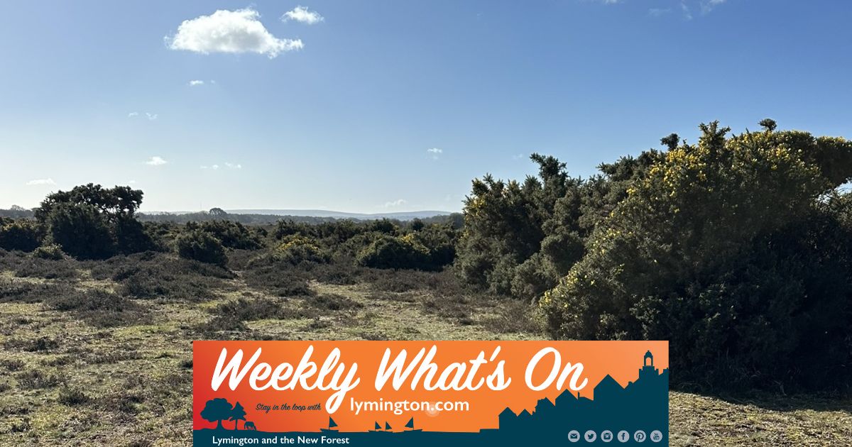 New Forest Lowland Heath