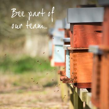 Local Jobs In Lymington And The New Forest Lymington News Whats On Tourist Information Local Jobs In Lymington And The New Forest Lymington News Whats On Tourist Information