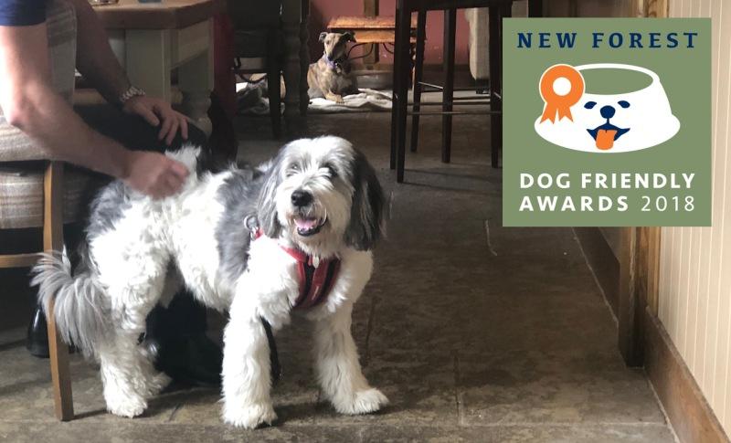 The Bell Inn at Bramshaw won the New Forest Dog Friendly Restaurant of the Year 2018