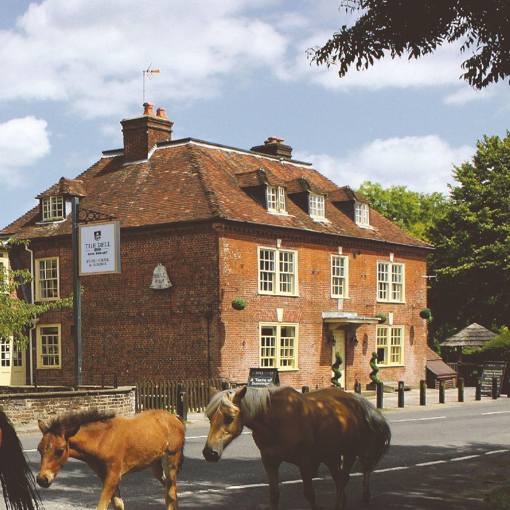 Bell Inn Brook New Forest - front entrance