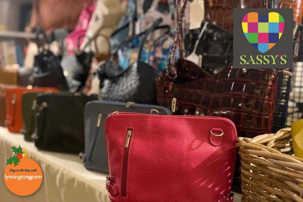 Sassy's bags clothing accessories