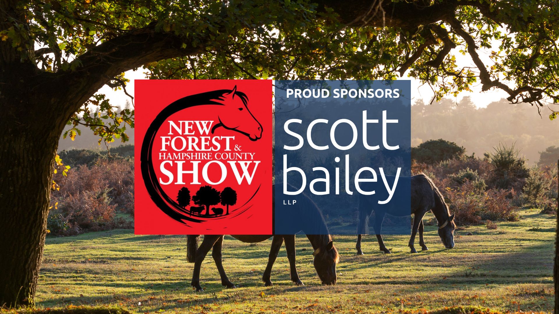 Scott Bailey sponsors of the New Forest Show