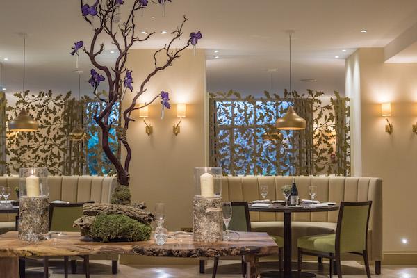 Cambium restaurant Careys Manor credit David Griffen