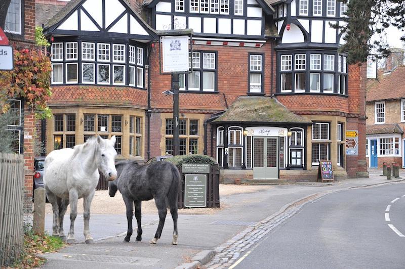 Montys Inn Beaulieu New Forest