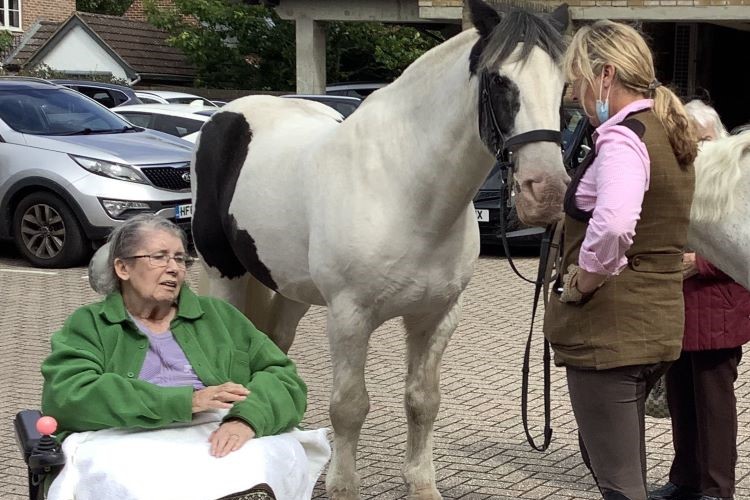 Equine visitors bring delight to Colten Care Avon Reach Mudeford