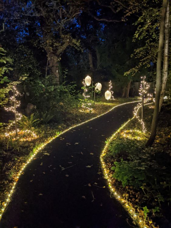 The garden at Colten Care’s Outstanding-rated Brockenhurst care home Woodpeckers is transformed into a ‘festival of light’ for residents and community visitors: