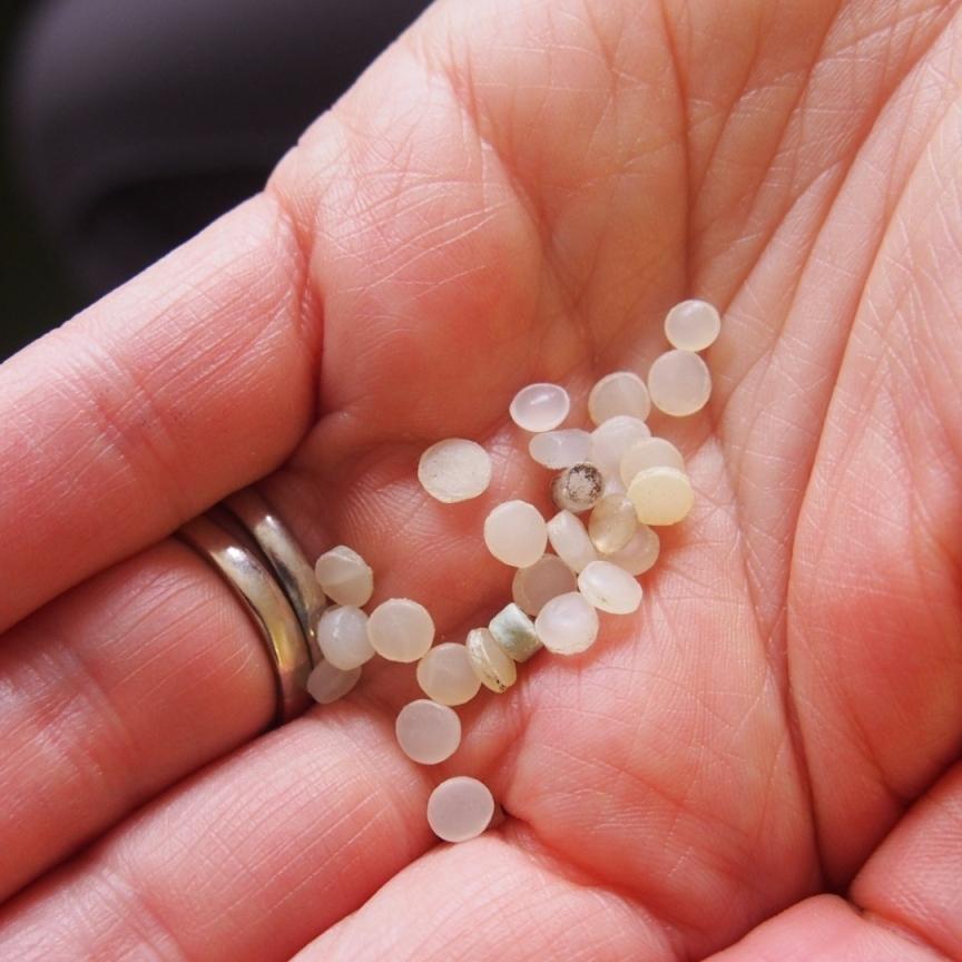 durlston court prep school beach clean mar18 nurdles 