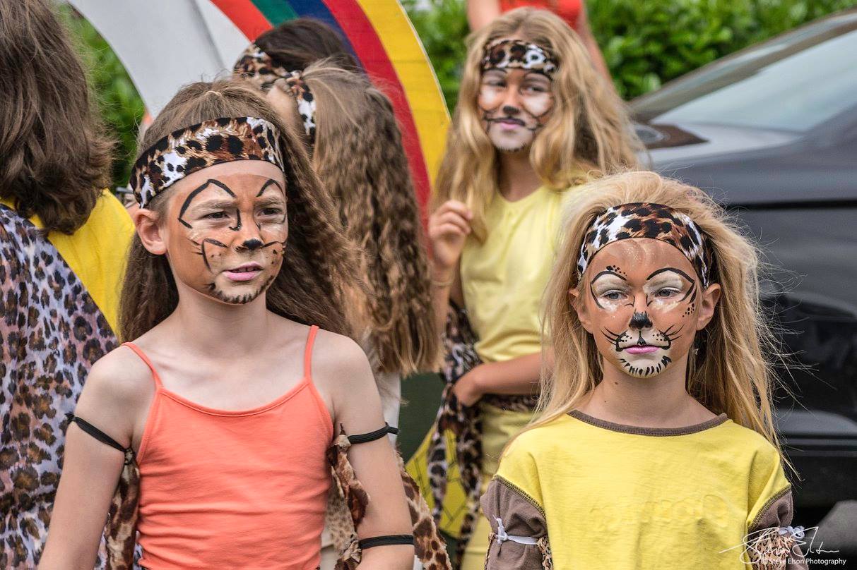 Lymington Carnival 2017