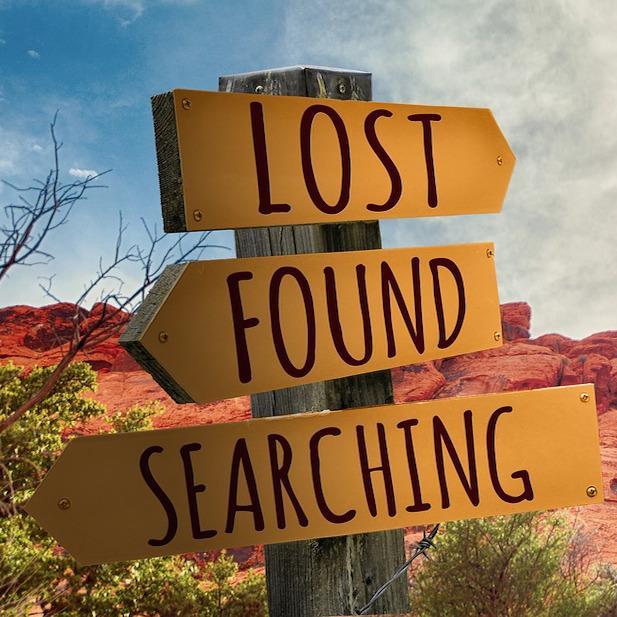 Lost and Found in Lymington and the New Forest
