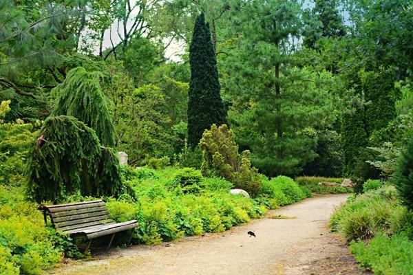 hammersley homes mental health safe home for life 600