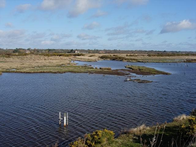 Pennington Marshes
