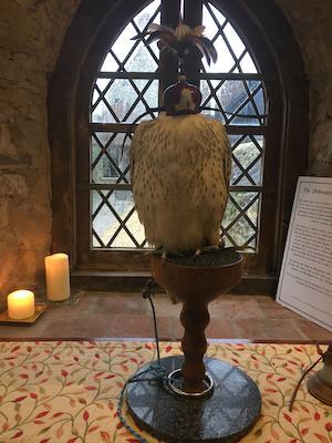 Falcon in Abbots Mews Beaulieu Abbey