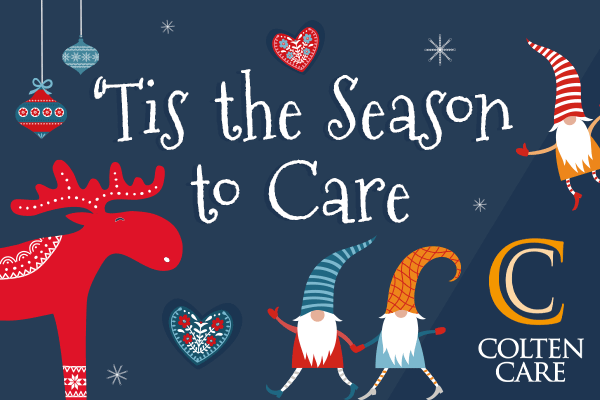 Two weeks free festive break in the New Forest with Colten Care 