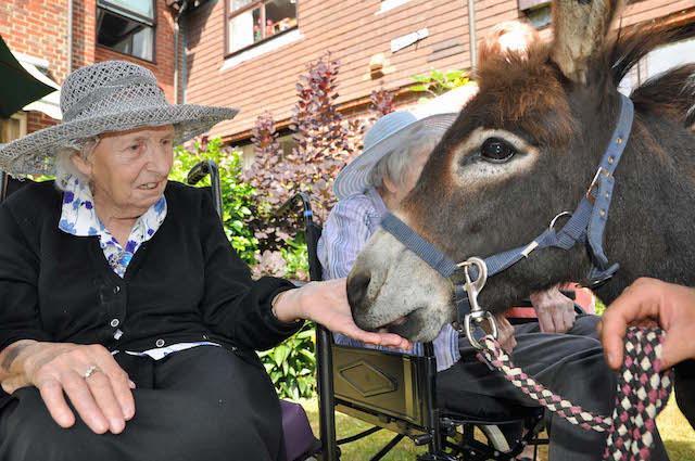 Enjoying the therapeutic effect of animals at Court Lodge.