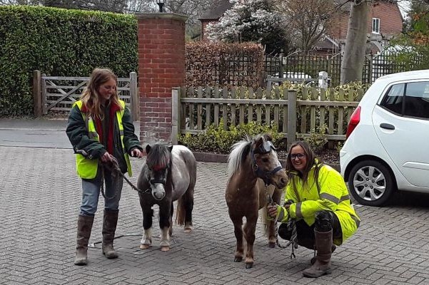 Court Lodge Lymington residents saddle up for the Grand National