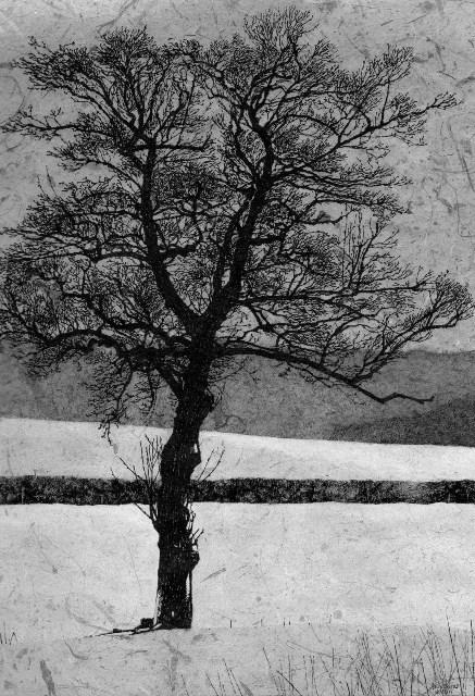 dementia art of tree simon dorrell alder winter
