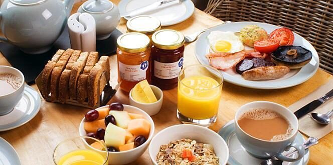 Cottage Lodge New Forest Hotel Breakfast