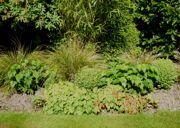 Gardening Lymington Debby Lockey Autumn garden