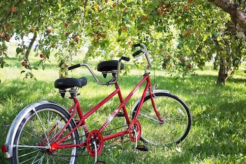 transforming conversations