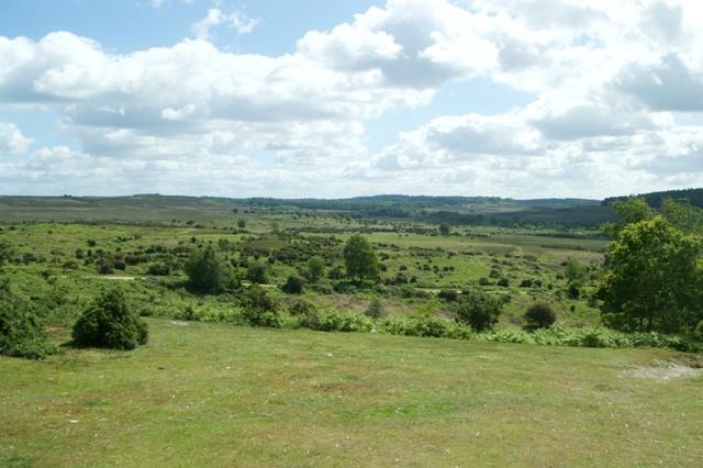 On the fabulous pub walk across the open New Forest from the Foresters Arms Frogham