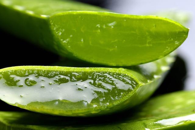 forever living products come from the purest aloe vera