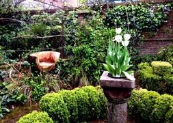 Moore Blatch Open Gardens Lymington April 2014