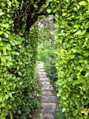 Archway to secret garden Moore Blatch Lymington Open Gardens