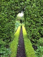 box hedge and arch Moore Blatch Open Gardens Lymington April 2014