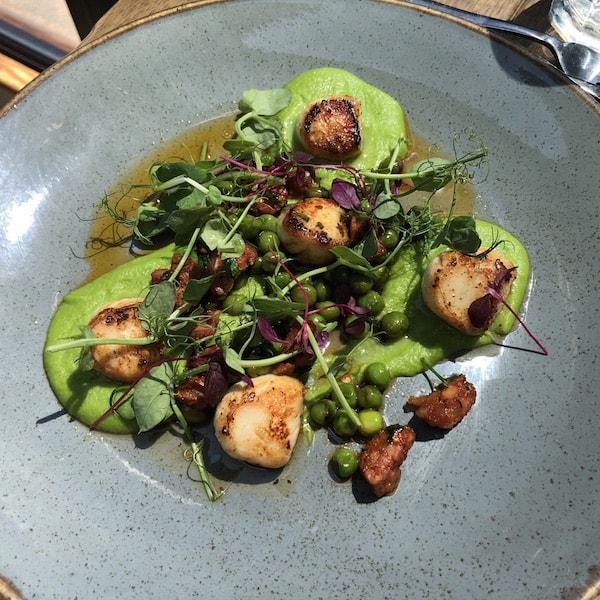 The Haven Restaurant Scallops with Pea Puree Chorizo and Pea Fricasse