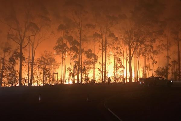 The Natural Health Hub's Yoga Fundraiser for Oz in the New Forest