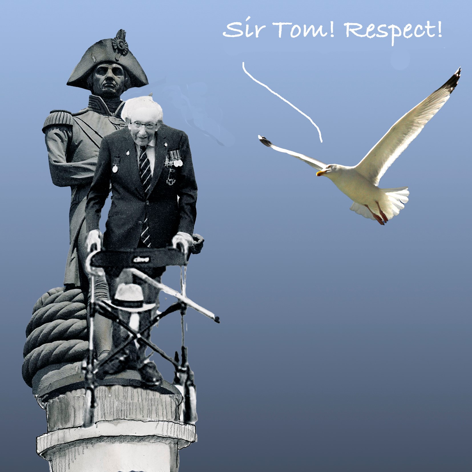 captain sir tom and seagull with respect