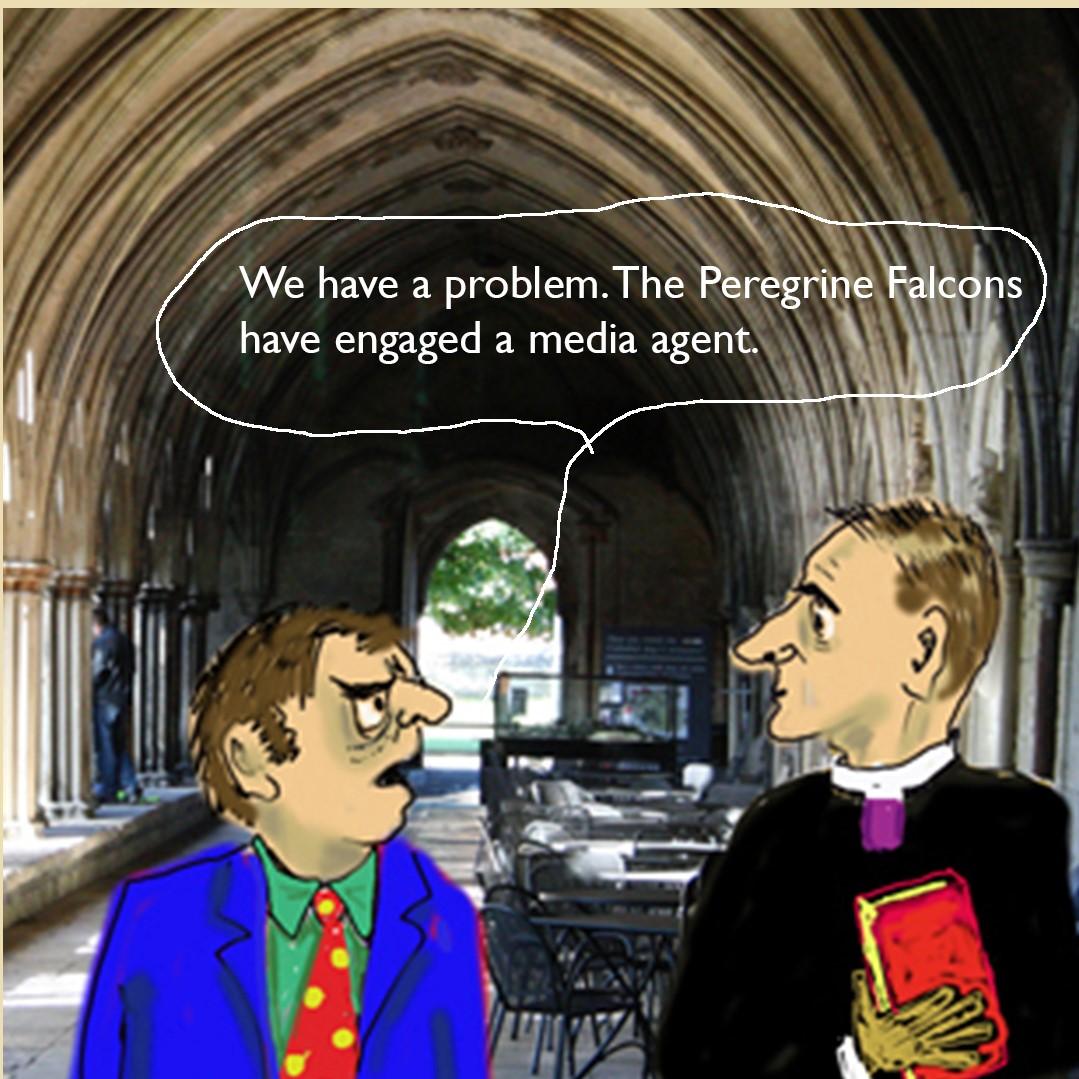 Peregrine Falcons at Salisbury Cathedral 