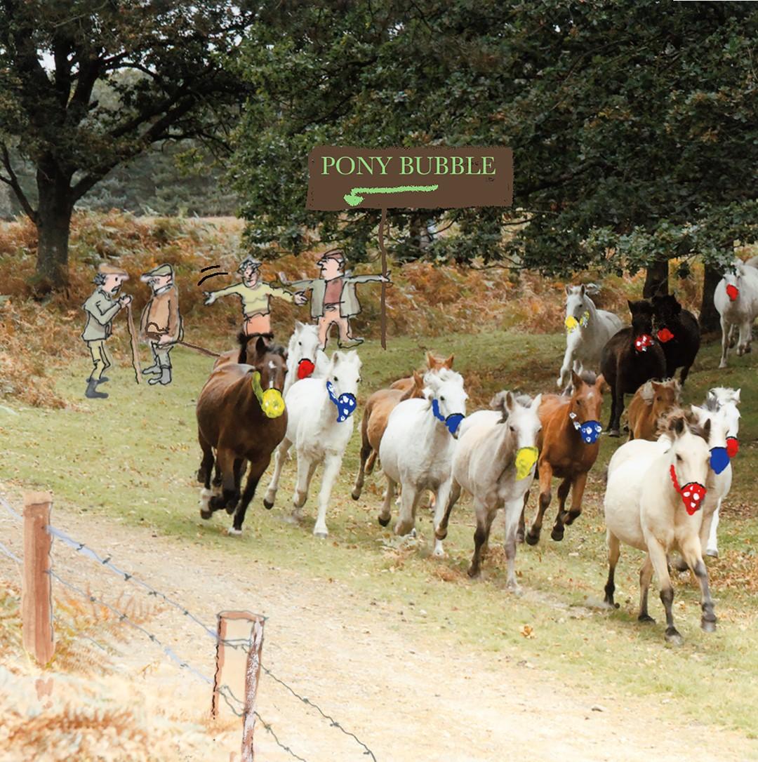 New Forest pony drift cartoon by Hugh Lohan
