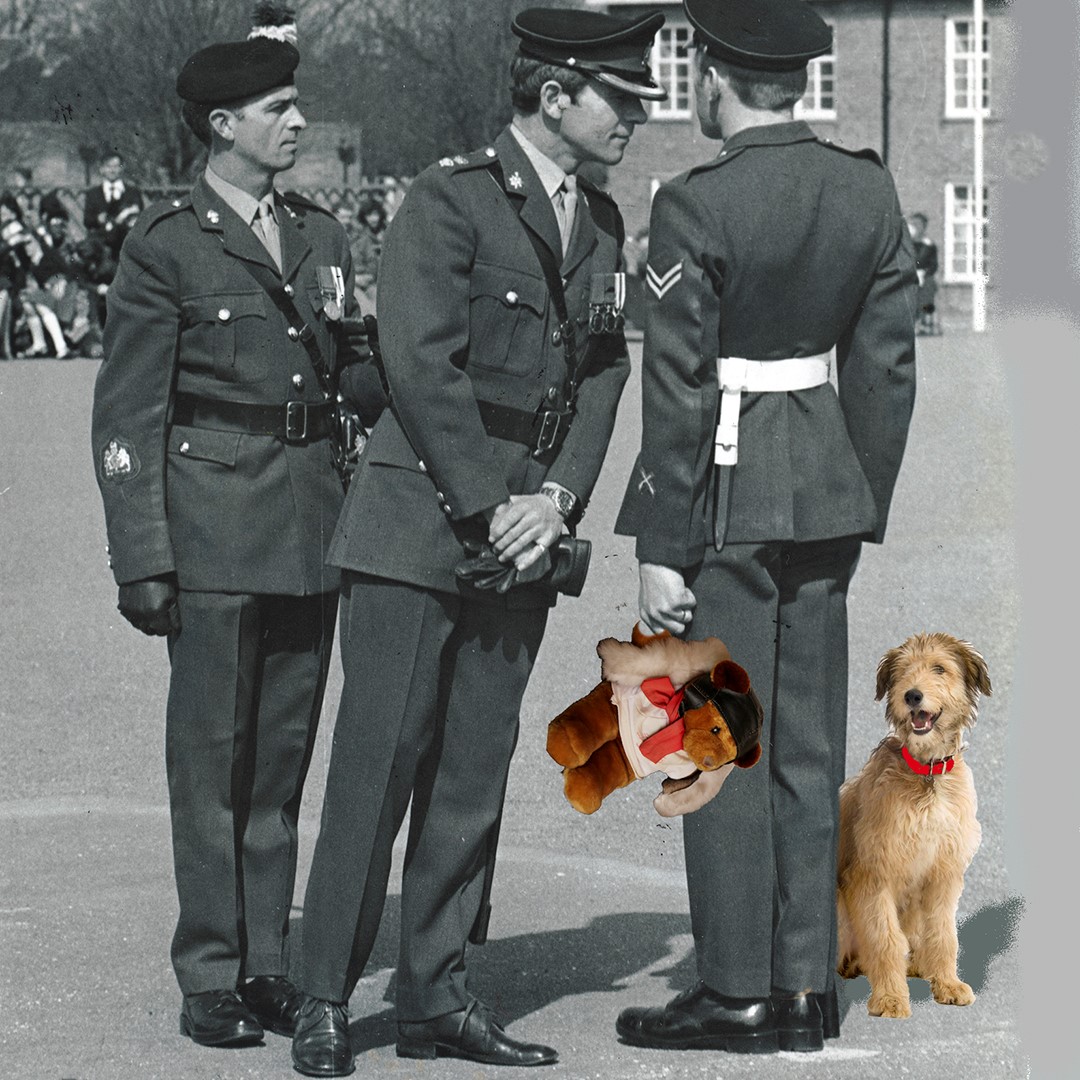 on parade with dog