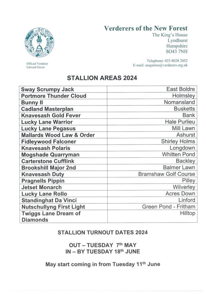 New forest stallions areas 2024
