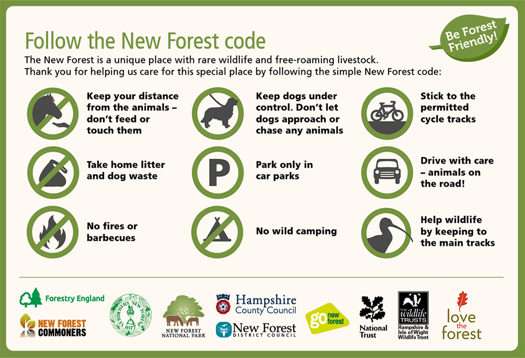 New Forest Code