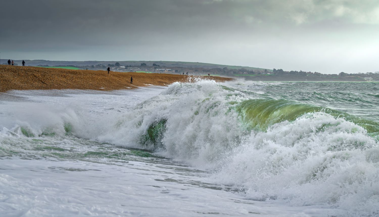 STEVE ELSON milford wild sea 1 1500