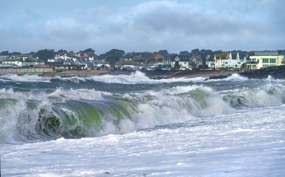 STEVE ELSON milford wild sea 1 1500