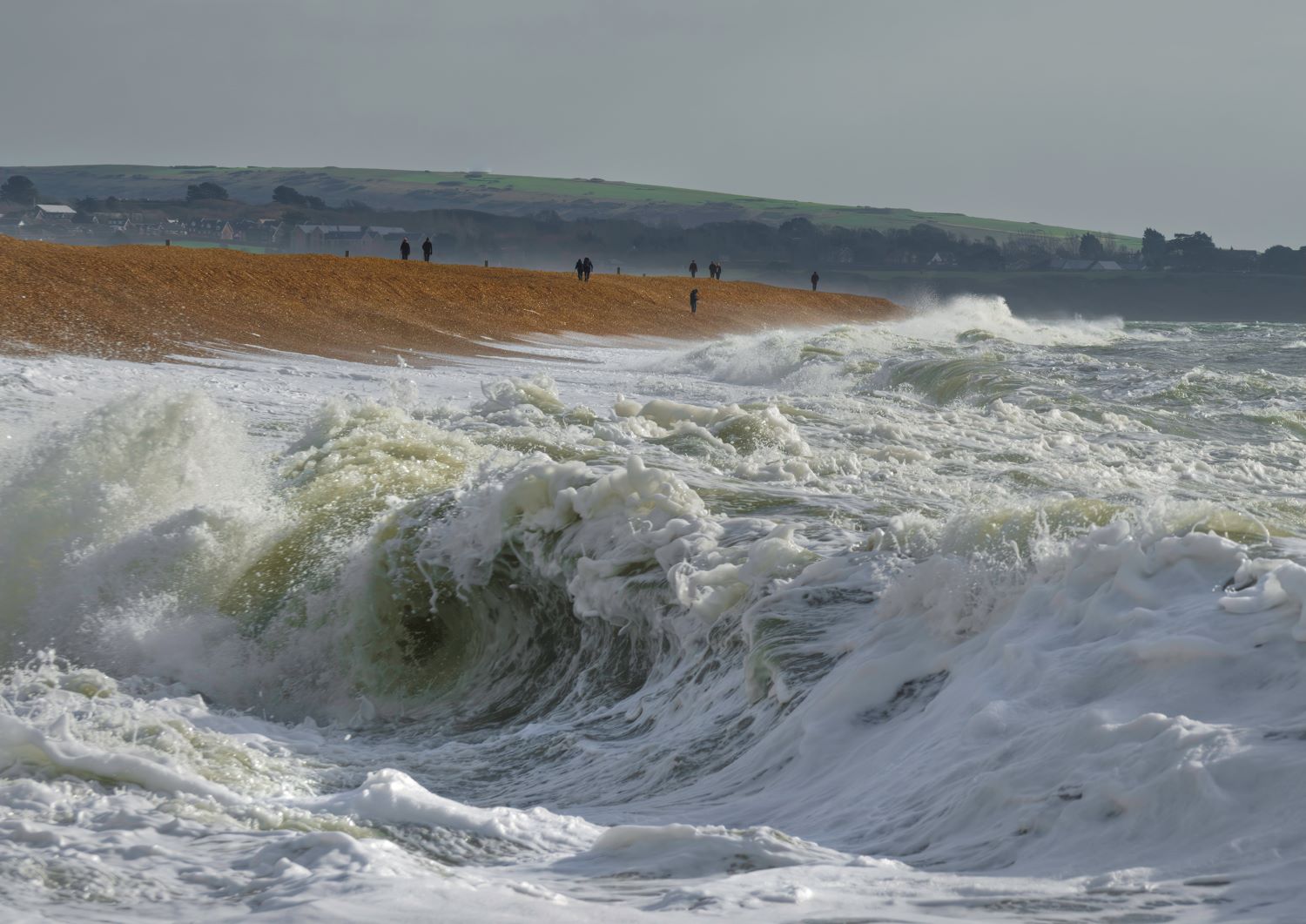 STEVE ELSON milford wild sea 1 1500