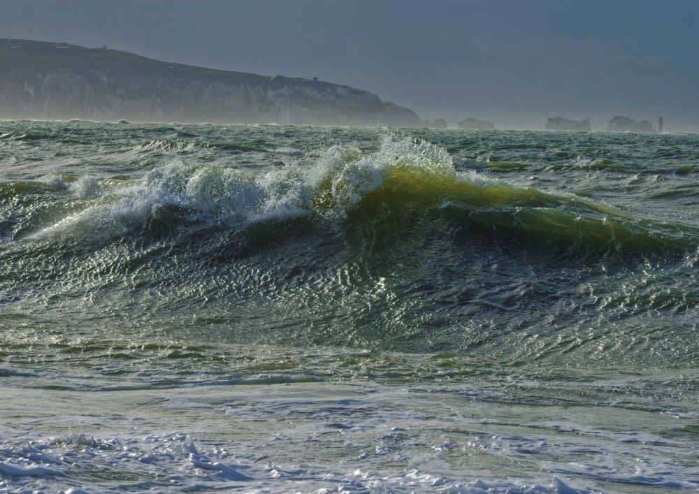 STEVE ELSON milford wild sea 4