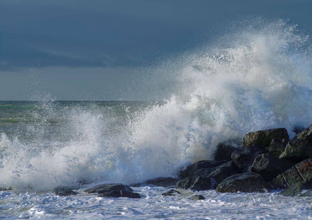 STEVE ELSON milford wild sea 5