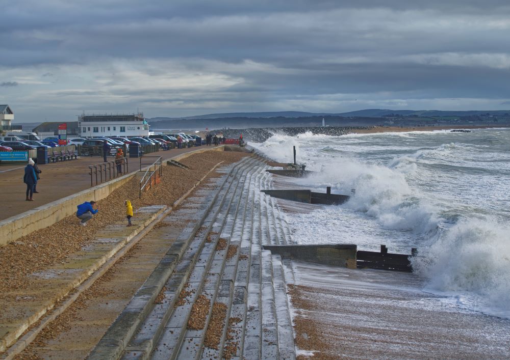 STEVE ELSON milford wild sea 6